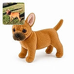 A curious little brown dog stands proudly in the sunny yard, giving the camera a serious puppy stare while its enormous ears point skyward like tiny satellite dishes. Its tail is raised in confident flag-waving mode, and the dramatic lawn shadows make the whole scene feel like a canine action movie.