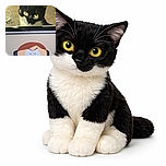 A curious black and white cat with glowing yellow eyes peers over the top edge of a screen displaying an animated character from South Park, creating a humorous contrast between the real and cartoon worlds.