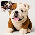 A charming bulldog with a wrinkled face and tongue out lounges on a cozy white and red blanket, looking like it's ready for a nap or a belly rub in a comfy indoor setting.