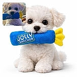 A fluffy white puppy holding a blue and yellow toy in its mouth, looking adorably at the camera with big dark eyes, lying on a cozy surface with a soft background.