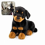 A serious-looking Rottweiler and a striped cat sit side by side like an unlikely courtroom duo, patiently judging the cozy living room while Hello Kitty pajama legs take center stage in the foreground.