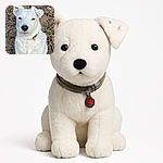 A close-up photo of a white dog sitting on a dirt ground, looking directly at the camera with a calm and curious expression. The dog's fur is fluffy and clean, and it wears a collar. The background shows some small plants and scattered twigs.
