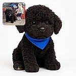 A tiny black curly-haired puppy stares wide-eyed at the camera, standing on a wooden floor with a festive blue and white Santa Claus figurine and colorful holiday decorations blurred in the background, creating a cozy and adorable Christmas vibe.