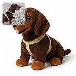 A happy dachshund dog with a beige harness is standing on a rough concrete surface, looking to the right with its tongue slightly out, appearing curious and content.
