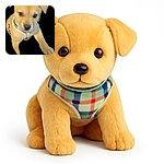 An adorable light brown puppy with soulful eyes and a cute harness is reaching out against a black background, looking like it's about to leap into your heart.