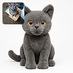 A curious gray cat sits perched on a wooden box, looking up with wide, attentive eyes. The background is a cozy indoor setting with various household items scattered around, giving a casual and homely vibe.