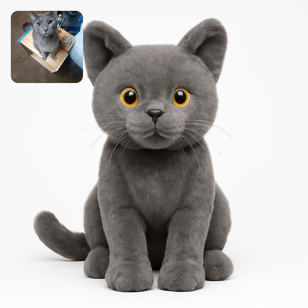 A curious gray cat sits perched on a wooden box, looking up with wide, attentive eyes. The background is a cozy indoor setting with various household items scattered around, giving a casual and homely vibe.