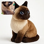 A beautiful Siamese cat with striking blue eyes looks upwards, sitting near a metal fence with some green foliage and a few budding flowers nearby. The fur texture is detailed, and the natural light highlights the cat's elegant features.