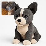 A close-up of a small dog with large, attentive ears and soulful eyes, resting comfortably on a soft surface with a cozy couch in the background, capturing a quiet moment of calm and curiosity.