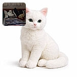 A cozy bed scene featuring a white cat lounging on striped pillows next to a fluffy dog resting on a red blanket, all under softly lit curtains with a patterned blanket adding color to the setup.