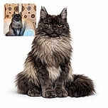 A majestic fluffy cat sits regally on a white leather armchair, with a backdrop of patterned curtains featuring circular floral designs, looking like the ruler of the living room kingdom.