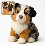 A fluffy, tricolor dog with a slightly squinty, relaxed expression basks in the sunlight outdoors on a gravelly surface with some greenery in the background.