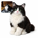 A fluffy black and white cat with striking green eyes sits gracefully on a patterned rug, looking up with curiosity. The warm-toned tiled floor and wooden furniture legs frame the cozy indoor setting.