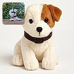 A curious puppy with a cute little brown patch on its ear peeks over a wooden surface, surrounded by lush green foliage and a wire fence, as if plotting its next playful adventure.