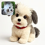 A fluffy, adorable dog with big, shiny eyes and a little tongue sticking out, looking up with curiosity and joy, surrounded by green grass on a sunny day.