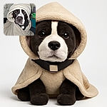 A charming dog wrapped snugly in a cozy cream-colored blanket with a hood, looking straight at the camera with a calm and slightly curious expression. The background is a bit cluttered with shelves and boxes, adding a homey, lived-in vibe to the scene.