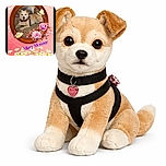A charming dog lies comfortably inside a wooden oval frame decorated with pink and red roses, butterflies, and a bouquet of daisies below. The pink background adds a soft, whimsical touch, while the blue text 'Missy Monster' playfully names the canine star of the photo.