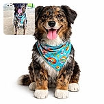 A happy dog with a colorful bandana sits on a concrete floor in front of a chain-link fence, tongue out and looking ready for some fun outdoors.
