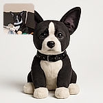 A black and white dog with large ears lounges on a couch surrounded by cushions and a plush teddy bear, looking relaxed but slightly serious as if guarding its territory.