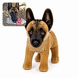 A curious Belgian Malinois proudly presents a crumpled Coca-Cola bottle like it has just won the neighborhood recycling championship. The dog stares intensely into the camera while standing on a leafy dirt path, with the photographer’s sandals making a surprise cameo at the bottom.