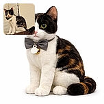 A curious calico cat with a bow tie collar sits alertly on a brown surface in front of white blinds and a textured beige wall, looking slightly to the side with wide eyes.