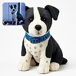 Two adorable black and white dogs, one adult and one puppy, sit on a purple bed in a room with lavender walls decorated with floral stickers. The adult dog looks calm and attentive, while the puppy gazes curiously to the side. The text overlay humorously labels the larger dog as 'mom 45lb', adding a touch of personality to the cozy indoor scene.