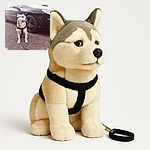 A serious-looking dog wearing a harness sits patiently on a gravel surface next to a black car with shiny rims. The dog is attached to a chain leash lying on the ground, and the car's reflection shows some surroundings, adding depth to the scene.