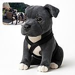 A sturdy black and white dog with a harness stands alertly on a wooden table in a sunny garden courtyard, surrounded by brick walls and lush green trees, casting a long shadow on the ground.