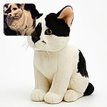 A curious black and white cat with striking yellow eyes sits attentively on a dark textured surface, its fur detailed and soft against the dimly lit background, giving a cozy yet mysterious vibe.