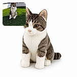 A dignified tabby-and-white cat sits upright on the lawn like a tiny backyard security guard, carefully inspecting the scene while the fence and sunshine frame its official patrol post.