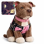 A serious-looking dog sporting a studded pink collar and a harness with reflective strips, sitting inside a vehicle with a focused gaze out the window, ready for an adventure or a drive.