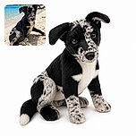 A bright-eyed black-and-white puppy sits on a tropical beach like it has just been promoted to lifeguard, with turquoise water, palm trees, and a suspiciously serious expression suggesting it is judging everyone’s sandcastle technique.
