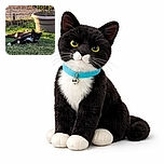 A sleek black and white cat lounges lazily on the grass in a sunny backyard, sporting a colorful collar and looking curiously at the camera. Behind it, a large beige plant pot with a small shrub and a wire fence add to the peaceful garden scene.