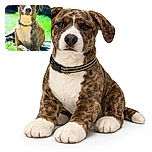 A handsome brindle dog lounges in the sun with a relaxed yet slightly skeptical expression, basking in the warmth of a bright, grassy backyard with a soft focus background.