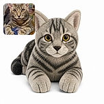A wide-eyed tabby cat sits upright like a tiny furry office manager, paws proudly planted on blue fabric while staring into the camera as if it has just discovered the meaning of Mondays. The colorful striped background and crisp whiskers give the portrait a cozy, playful feel.