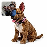 A playful brown dog with a pink collar stands on a blue surface indoors, tongue out and ears perked up, looking lively and curious. The background shows a cozy living room with furniture, plants, and wall art, adding a homey vibe to the scene.
