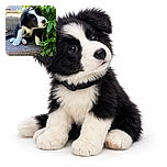 A curious black and white puppy sitting on concrete steps, peeking out from behind lush green leaves with a slightly tilted head, capturing an innocent and playful moment in bright daylight.