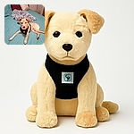 A cute tan dog with a black harness lounges comfortably on a teal bedspread, surrounded by cozy pillows and a fluffy blanket, with a bone-shaped chew toy just within paw's reach.