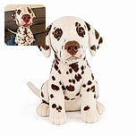 A spotted Dalmatian sits proudly on a blue blanket, leaning toward the camera with a nose so enormous it looks ready to boop the entire room. Its soulful eyes say it has definitely heard the snack drawer open.