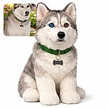 A majestic husky with striking heterochromia eyes, one icy blue and one warm brown, sitting proudly in a vibrant garden full of colorful flowers, wearing a green collar with a bone-shaped tag.
