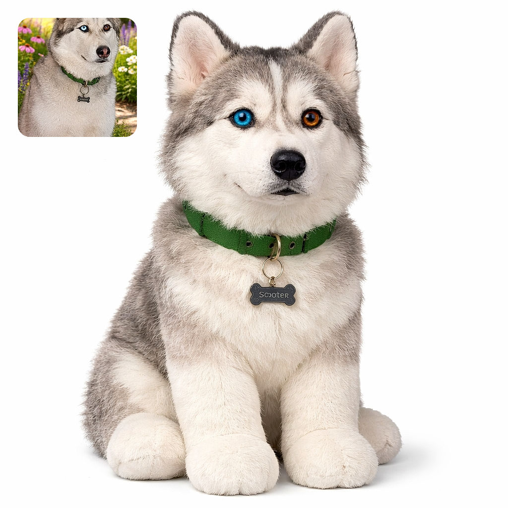 A majestic husky with striking heterochromia eyes, one icy blue and one warm brown, sitting proudly in a vibrant garden full of colorful flowers, wearing a green collar with a bone-shaped tag.