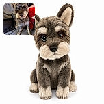 A distinguished schnauzer sits proudly on a couch, flashing one blue eye and one brown eye like a tiny canine celebrity who has just been asked to judge everyone’s fashion choices. A giant red plush toy provides dramatic backup while a person lounges in the background.
