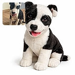 A charming black and white puppy sits on a wooden floor, licking its nose with an adorable expression that could melt anyone's heart. The lighting is natural and soft, highlighting the puppy's shiny eyes and smooth fur.