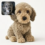 A close-up shot of a scruffy, curly-haired dog with soulful eyes and a black nose, resting on a patterned blanket that adds texture to the cozy scene.