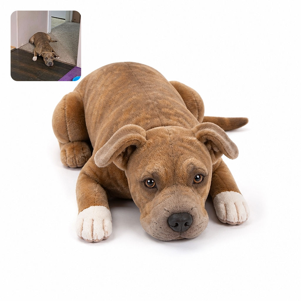 A wonderfully tired-looking dog is sprawled across the doorway like a furry speed bump, giving the camera a serious stare while its food bowl waits nearby for the next snack emergency.