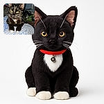 A sleek black cat with bright yellow eyes and white paws lounges comfortably on a cozy blue and white blanket, sporting a red collar with a shiny bell, while a cluttered background hints at a busy home environment.