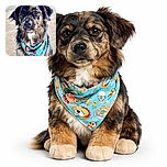 A charming dog with soulful eyes sports a colorful, quirky bandana adorned with skulls, ice cream, and beach motifs, sitting attentively in front of a chain-link fence on a concrete ground.