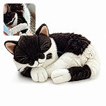 A black-and-white cat is curled up in a blissful nap, hugging its own fluffy paws like a tiny tuxedo-clad contortionist. Soft bedding, a patterned rug, and cozy indoor surroundings complete the sleepy scene.