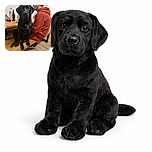 A black Labrador sits obediently on a wooden bench next to a man in a red hoodie who is seated at a dining table. The dog stares directly at the camera with soulful eyes, while the man looks away, seemingly engaged in conversation or thought. The table is cluttered with bottles, snacks, and a phone, giving a casual, homey vibe. A large clock hangs on the wall behind them, adding a touch of decor to the simple setting.