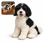 A fluffy black-and-white dog stands on a wooden floor looking happily at the camera, while a smaller black-and-white dog lounges on a couch covered with a gray blanket in the background. The cozy living room setting includes a brown couch, a wooden side table with bottles, and a dark coffee table with a candle and scissors on it.